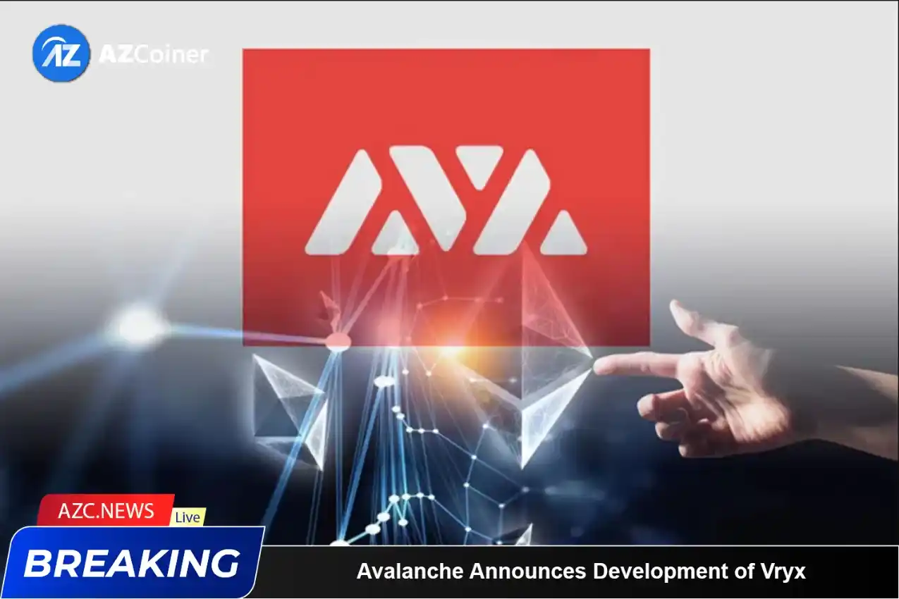 Avalanche Announces Development Of Vryx Solution_65b977d543c59.webp