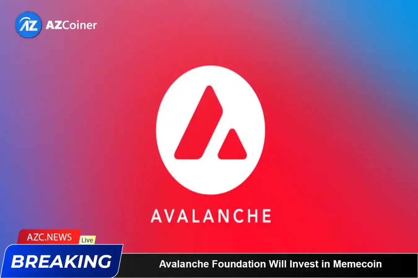 Avalanche Foundation Will Invest In Memecoin_65b9742397a6a.webp