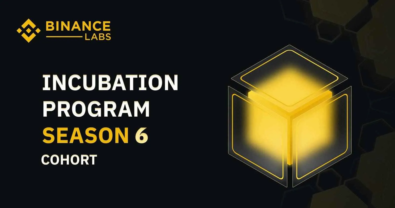 Binance Labs Announced 12 Projects Approved For Incubation Round Season 6_65b96d0f70585.jpeg