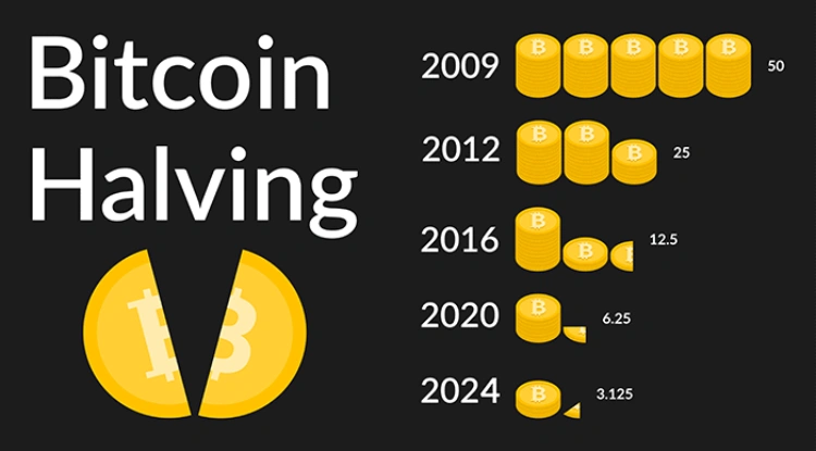 bitcoin dominance reaches 2 5 year high as halving approaches 65b9666b91d27