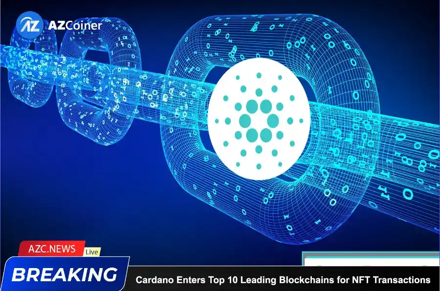 Cardano Enters Top 10 Leading Blockchains For Nft Transactions_65b976f363a51.webp