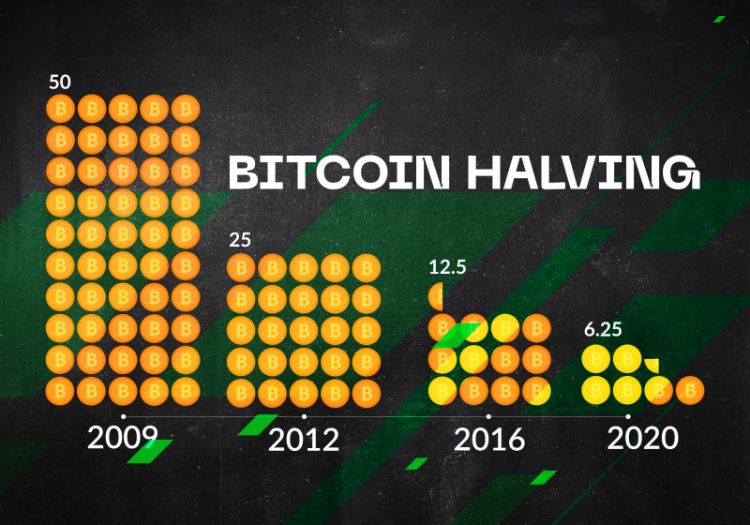 ceo binance predicts bitcoins price surge after halving insights from three historical halvings 65b965c338866