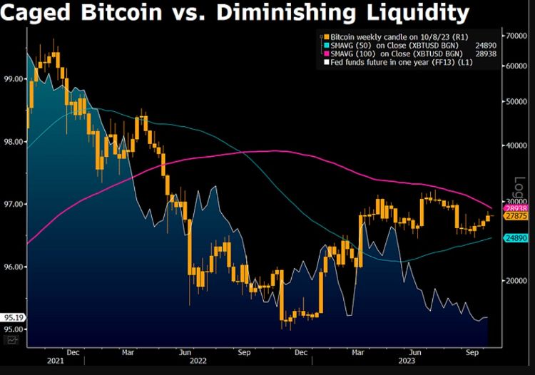 ceo binance predicts bitcoins price surge after halving insights from three historical halvings 65b965c379ac3