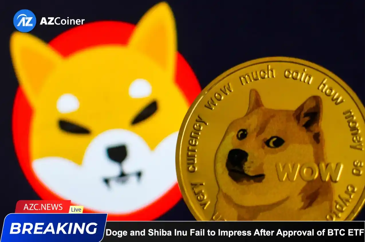 Doge And Shiba Inu Fail To Impress Following Approval Of Bitcoin Etf_65b9767b350db.webp