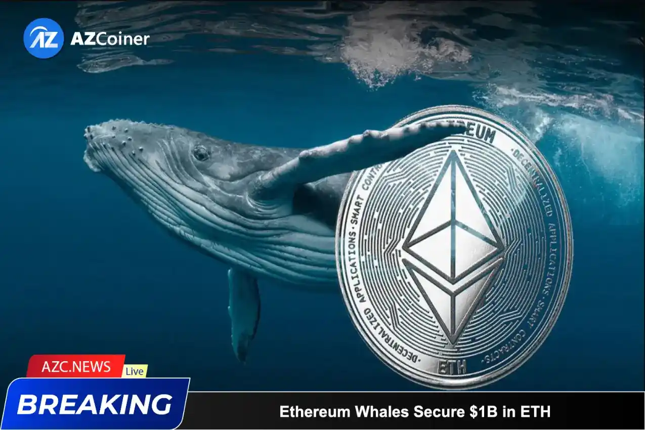 Ethereum Whales Acquire A Staggering $1 Billion In Eth Holdings_65b97505d299e.webp