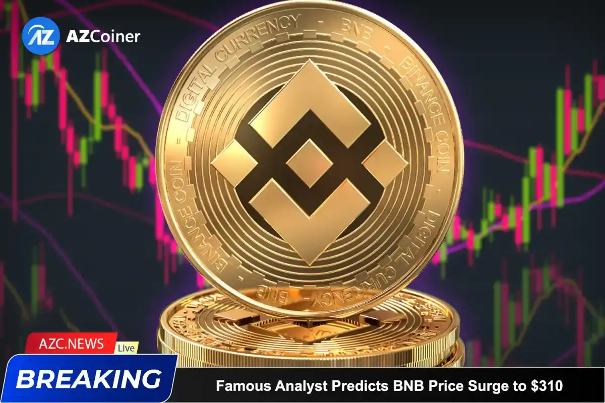 Famous Analyst Predicts Bnb Price Surge To $310_65b9726253c7f.webp