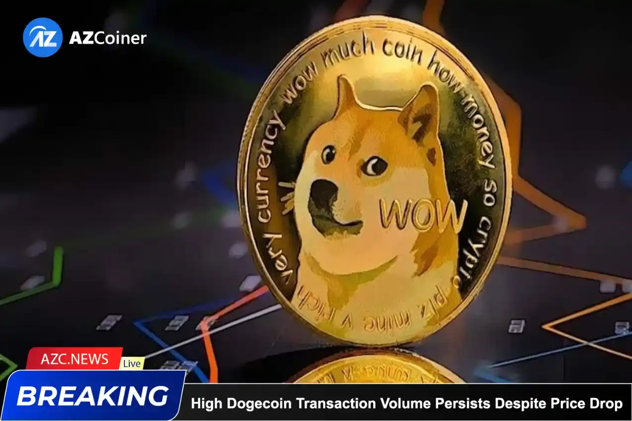 High Dogecoin Transaction Volume Persists Despite Price Drop_65b9784ea5815.webp