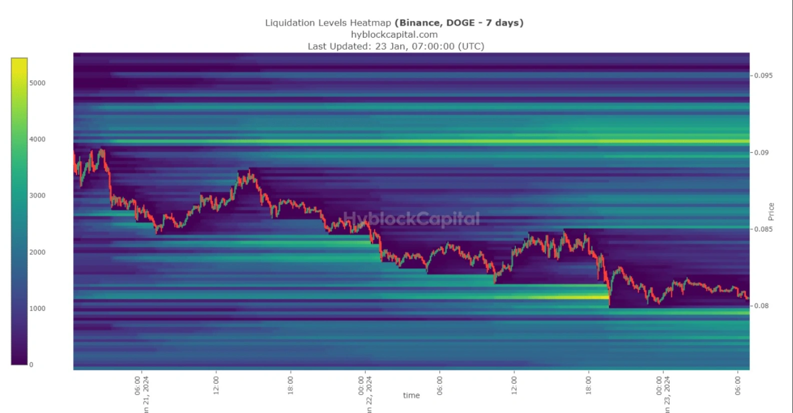 high dogecoin transaction volume persists despite price drop 65b9784eaf52c