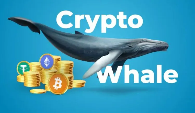 how crypto whales manipulate investors in the short term 65b965bb93051