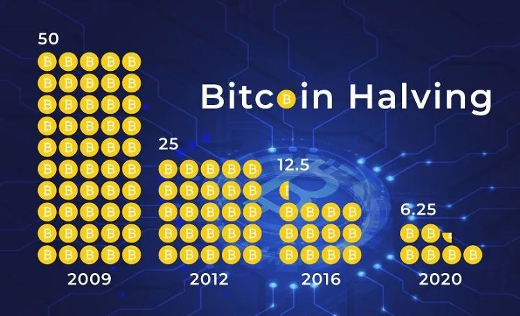 how previous halvings impact bitcoins 2024 halving event 65b96570df8bb