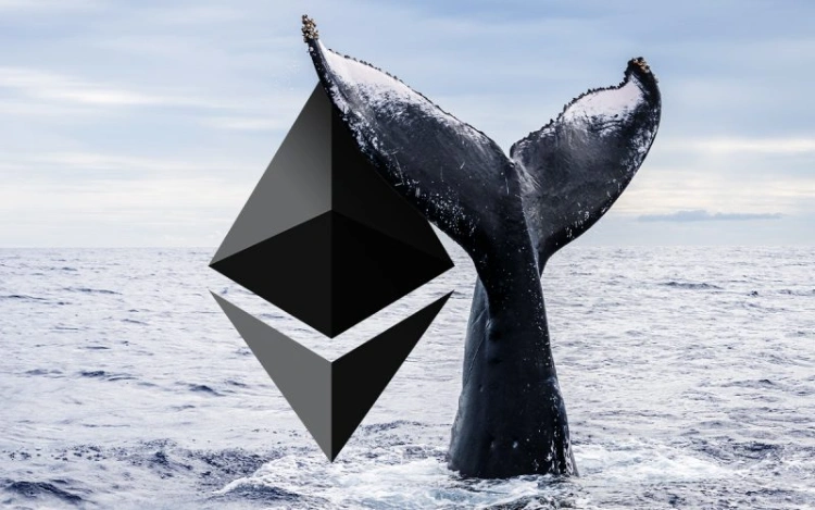 huge ethereum whale transfers 55 million to binance after profitable 42000 eth withdrawal 65b96f061bb58