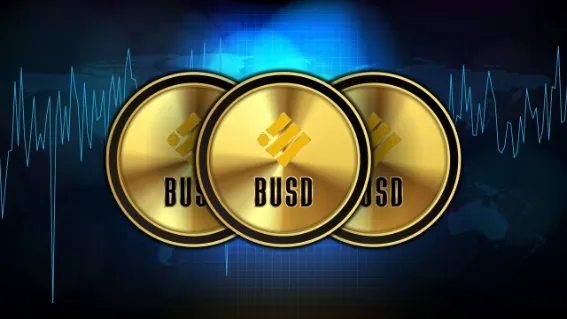 IS BNB and BUSD the Same?