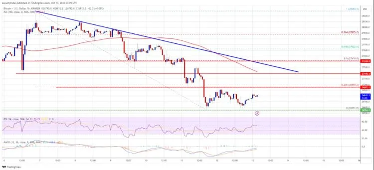 new hashrate peak and bitcoin price outlook 65b9655e48849