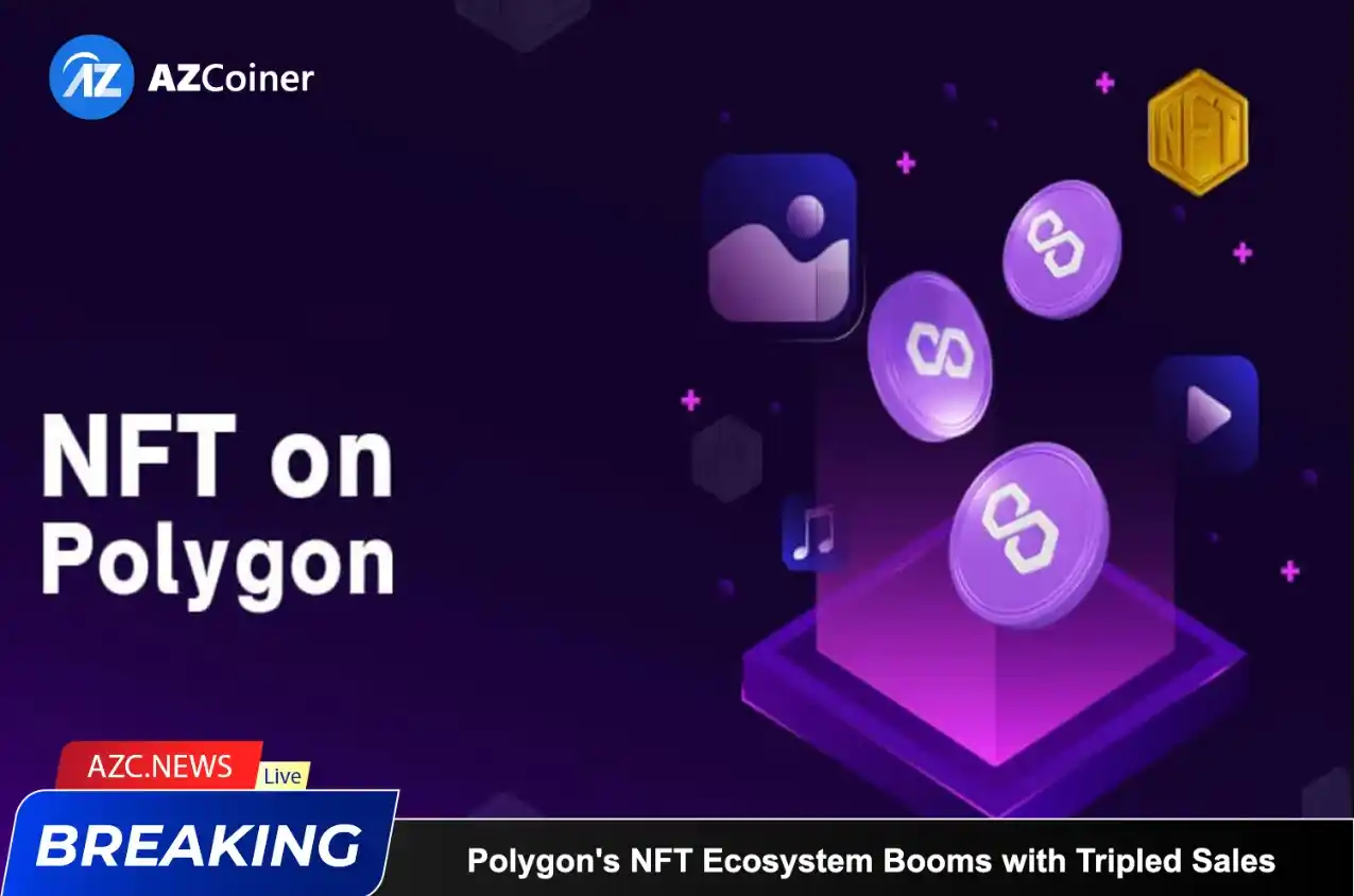 Polygon’s Nft Ecosystem Booms With Tripled Sales_65b974eee25f1.webp