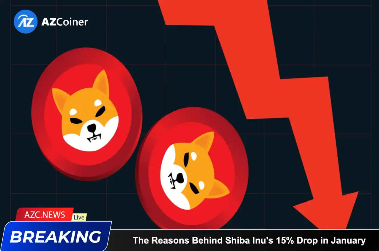 The Reasons Behind Shiba Inu’s 15% Drop In January_65b977c51876d.webp