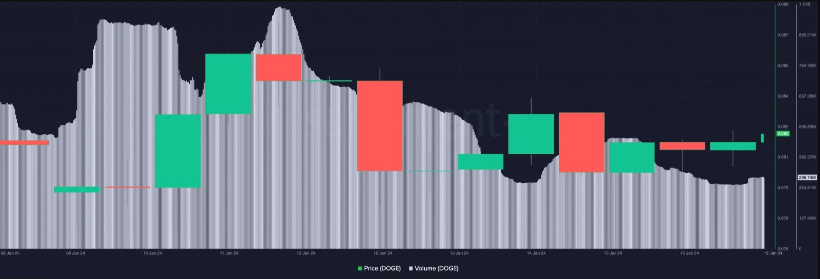 whale causes market stir with massive dogecoin transfer 65b975e9cb5e8