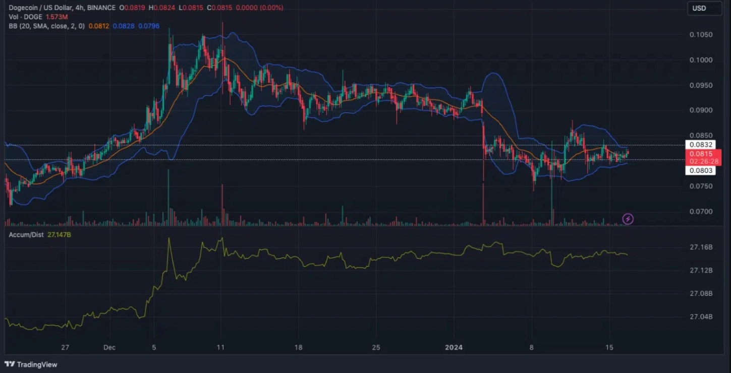 whale causes market stir with massive dogecoin transfer 65b975e9db286