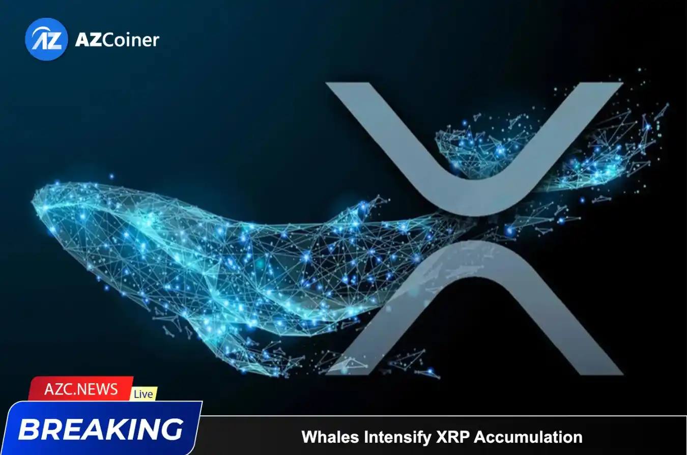 Whales Accumulate Xrp: Is A Significant Price Volatility Imminent?_65b97312c928c.webp