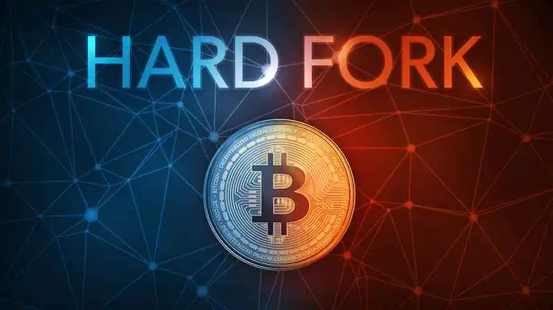 What Are Bitcoin Hard Forks? A History Of Bitcoin Hard Forks_65b965ee28f4b.jpeg