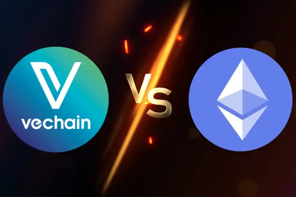 What Are The Differences Between Vechain And Ethereum_65b97c957757d.webp