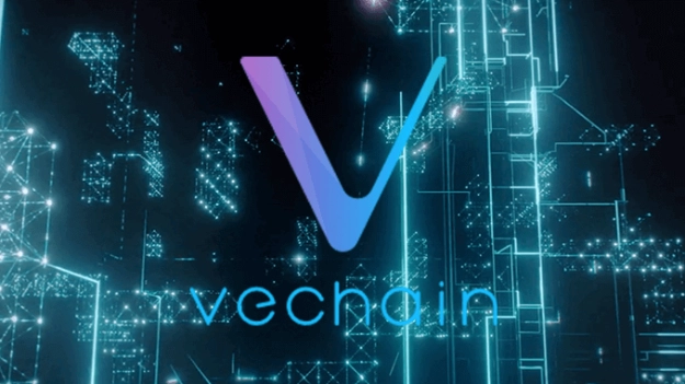 what are the differences between vechain and ethereum 65b97c9581d54