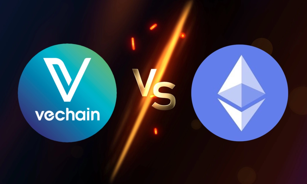 what are the differences between vechain and ethereum 65b97c9584338