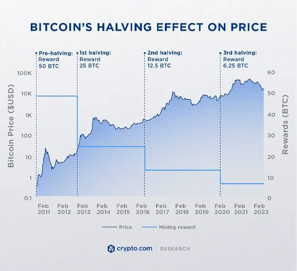Bitcoin halving 