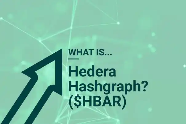 What Is Hedera Hashgraph (hbar)? What Is Hbar Used For?_65b97b51e69e3.webp