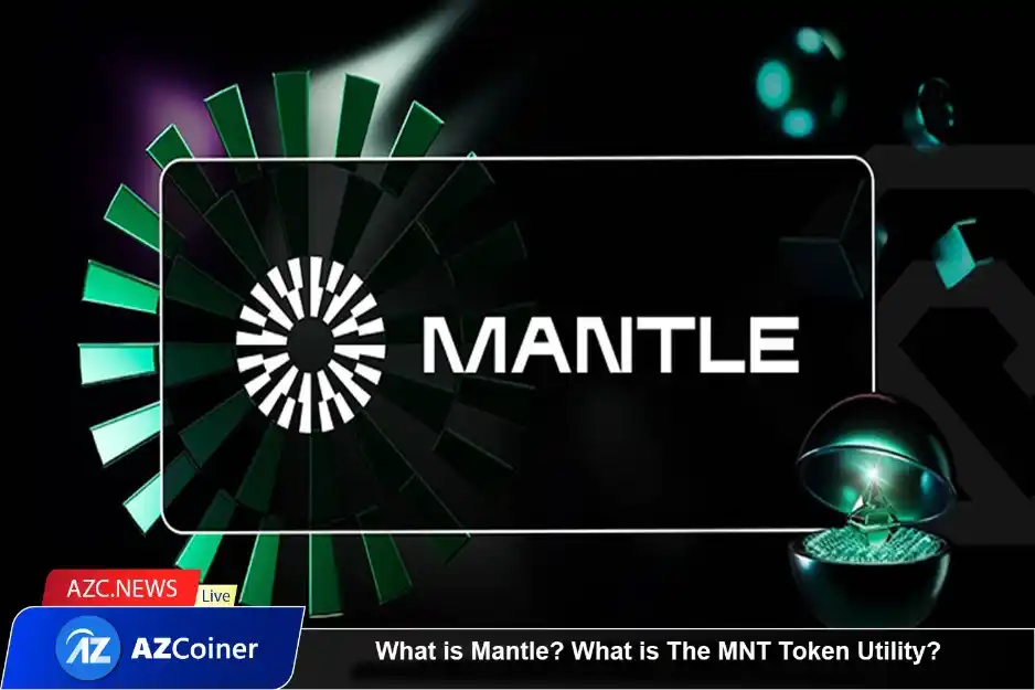 What Is Mantle? What Is The Mnt Token Utility?_65b97c8453de4.webp