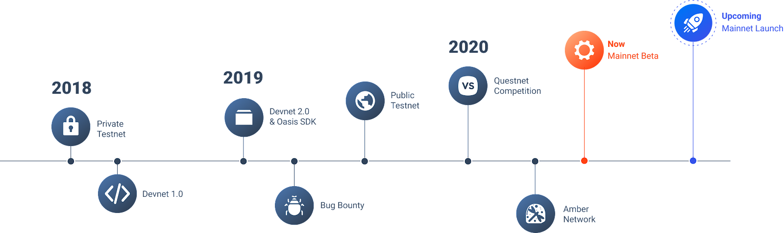 what is oasis rose a comprehensive information about oasis network 65b96d60d2752