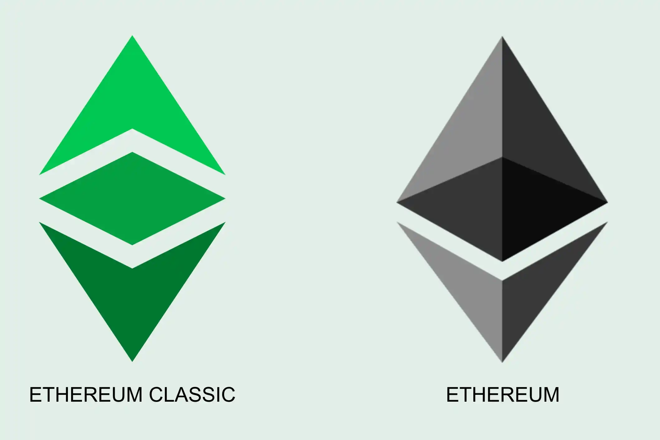 What Is The Difference Between Ethereum (eth) And Ethereum Classic (etc)?_65b97ba4f1b0f.webp