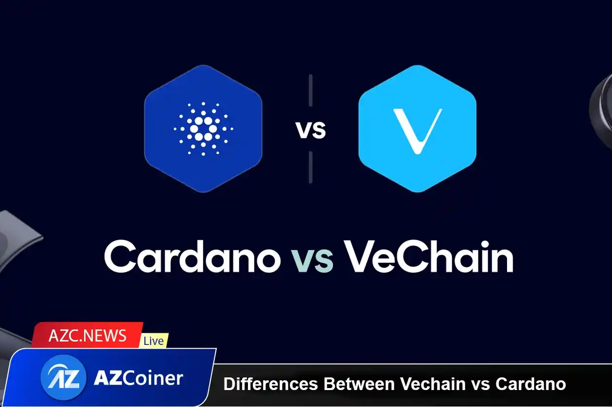 What Is The Difference Between Vechain And Cardano?_65b97c5e4acc1.webp