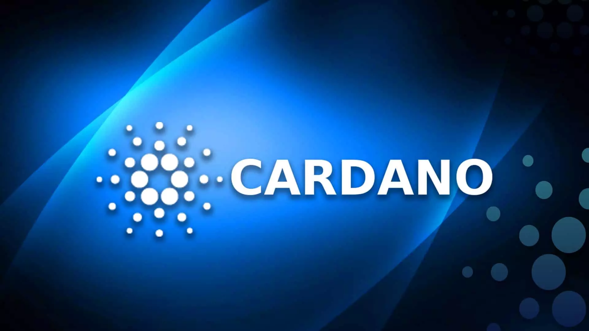 what is the difference between vechain and cardano 65b97c5e5555b