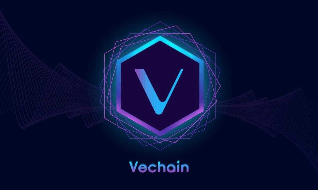 what is the difference between vechain and cardano 65b97c5e577fe