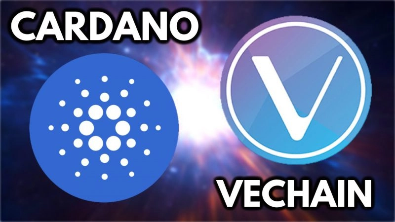 what is the difference between vechain and cardano 65b97c5e59aa8