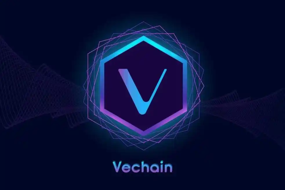 What Is Vechain? Is Vet Vechain A Good Investment?_65b97c9f7eb54.webp