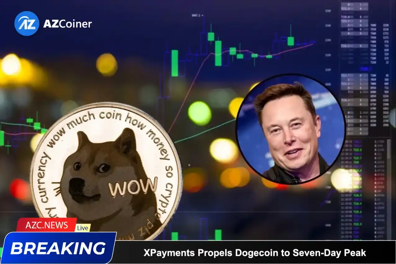 Xpayments Propels Dogecoin To Seven Day Peak_65b976eb9538d.webp