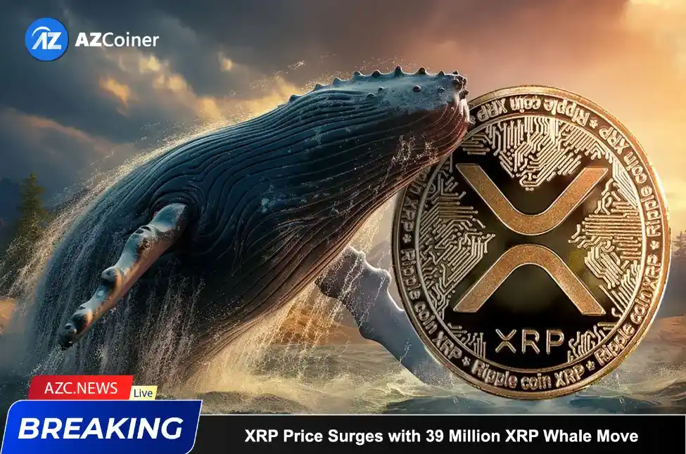 Xrp Price Surges With 39 Million Xrp Whale Move_65b9745932c1d.webp
