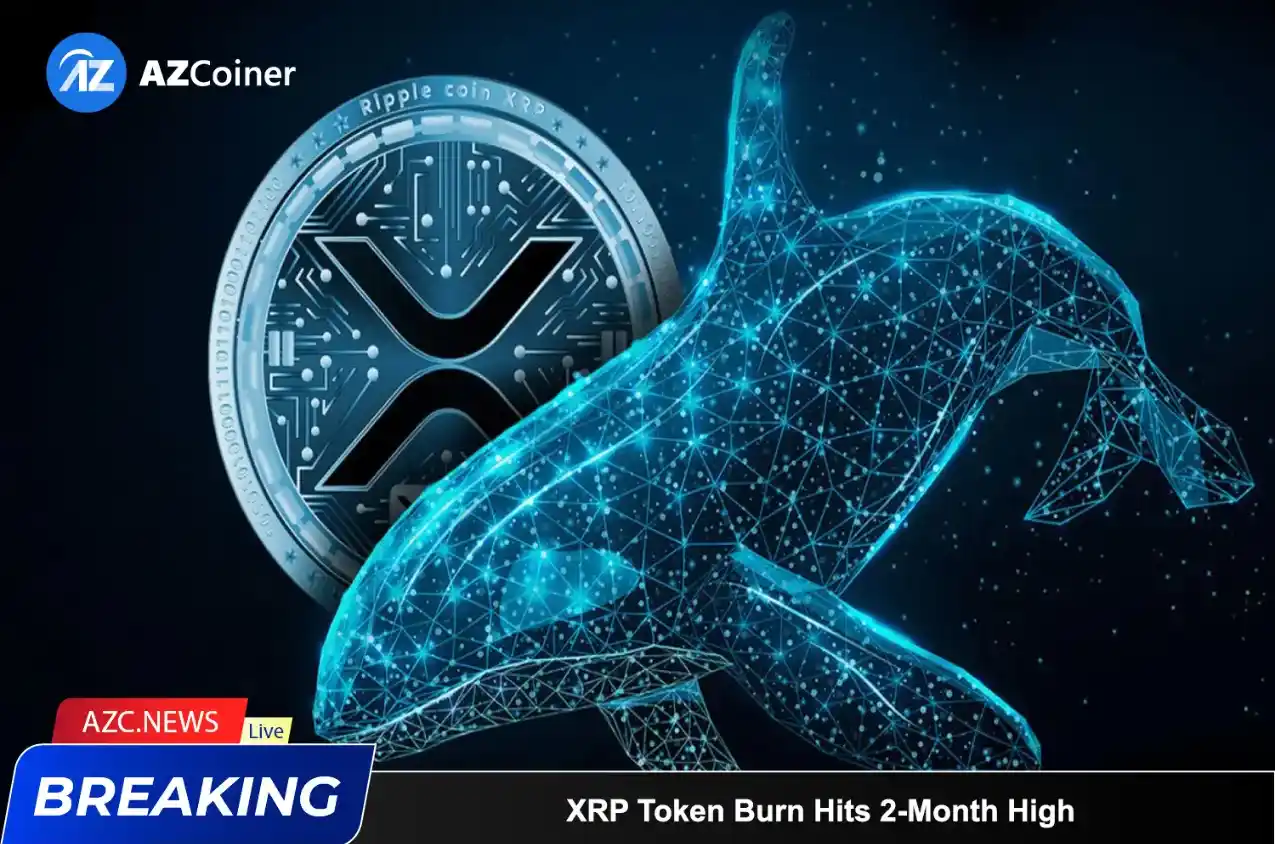 Xrp Token Burn Hits 2 Month High, Whales Execute Large Money Transfer_65b97338df15d.webp