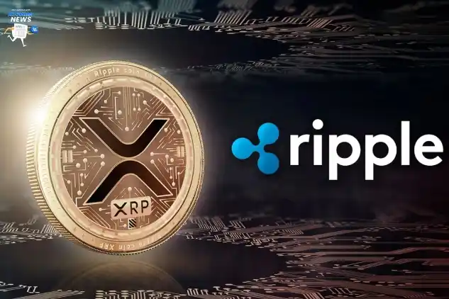 Xrp Users Receive Vital Warning: What Does On Chain Data Reveal?_65b96faadfe77.webp