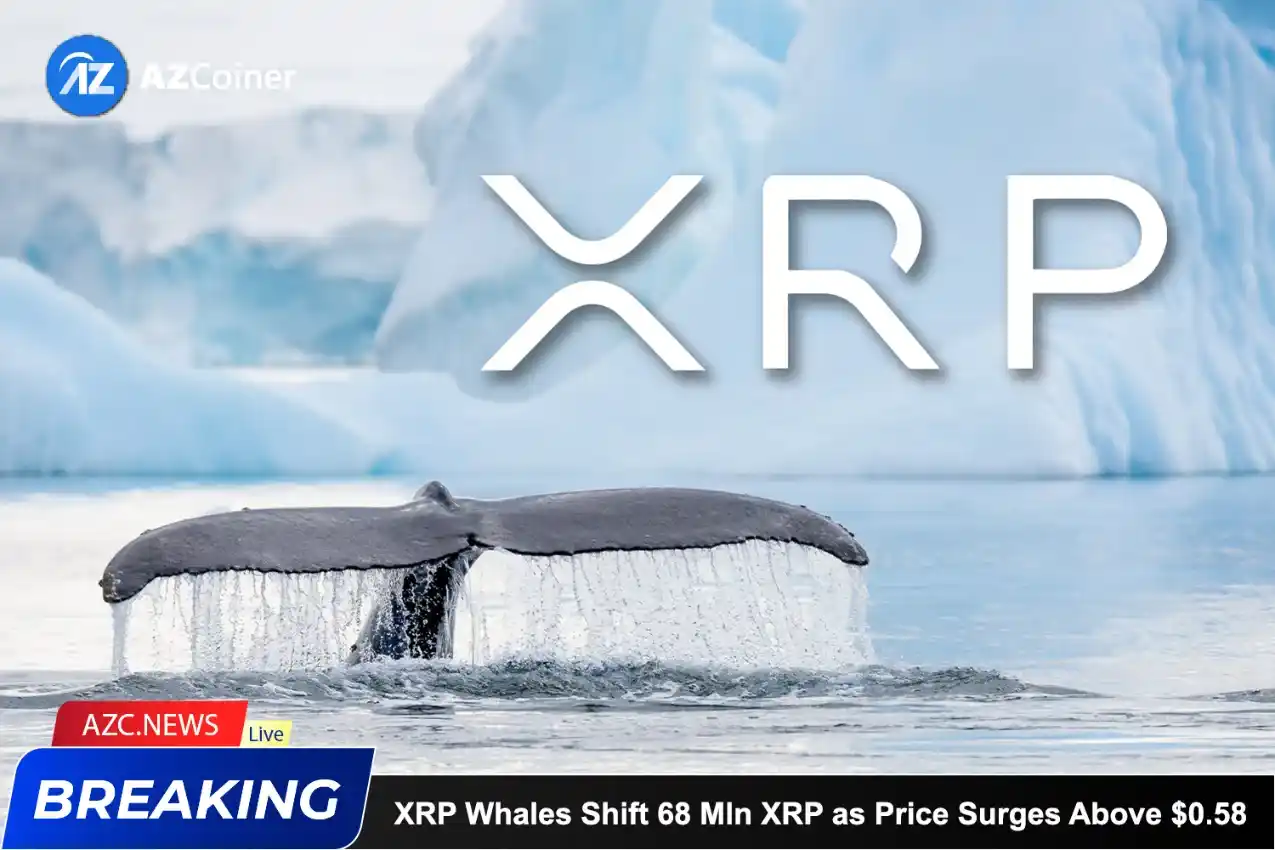 Xrp Whales Shift 68 Mln Xrp As Price Surges Above $0.58_65b974ca9d928.webp