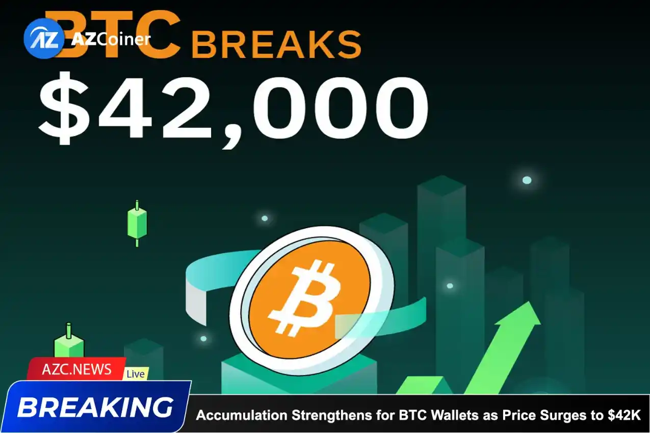 Accumulation Strengthens For Bitcoin Wallets As Price Surges To $42k_65d5d0bd612f3.webp