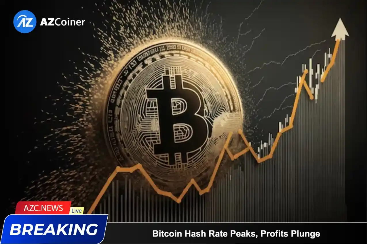Bitcoin Hash Rate Peaks, Profits Plunge_65d5cee79b1c3.webp