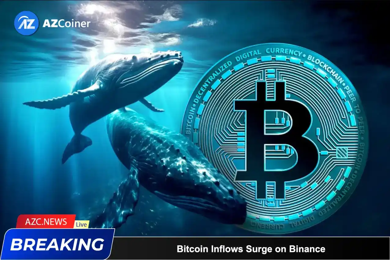 Bitcoin Inflows Surge On Binance: Whales Begin 2024 With Selloff?_65d5ce8a06a33.webp