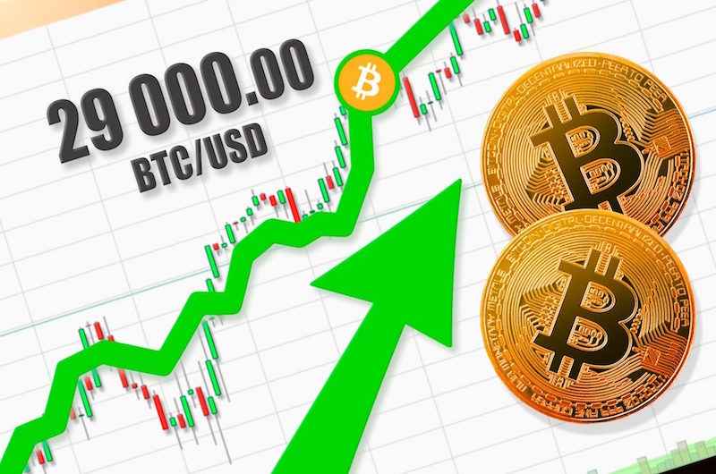 Bitcoin Surges To $29,000, Cathie Wood Forecasts Even Stronger Growth_65d5cbd2ab14d.jpeg