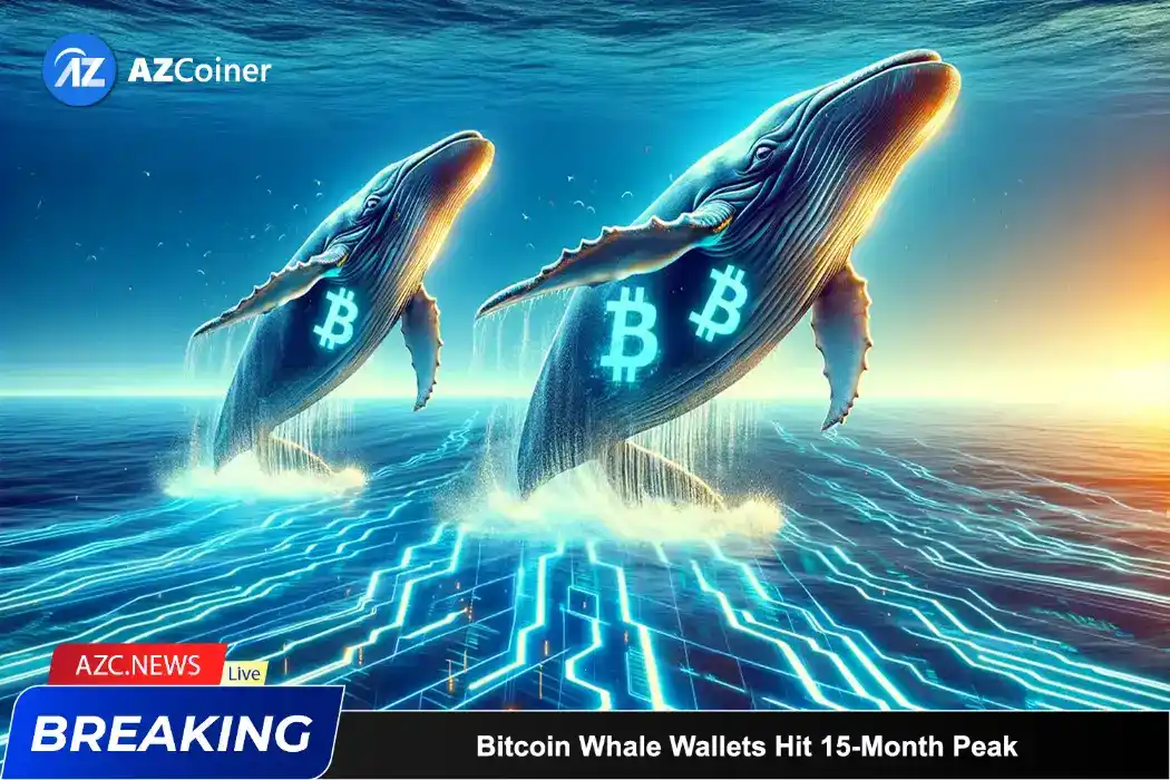 Bitcoin Whale Wallets Hit 15 Month Peak_65d5d28cc5c4a.webp