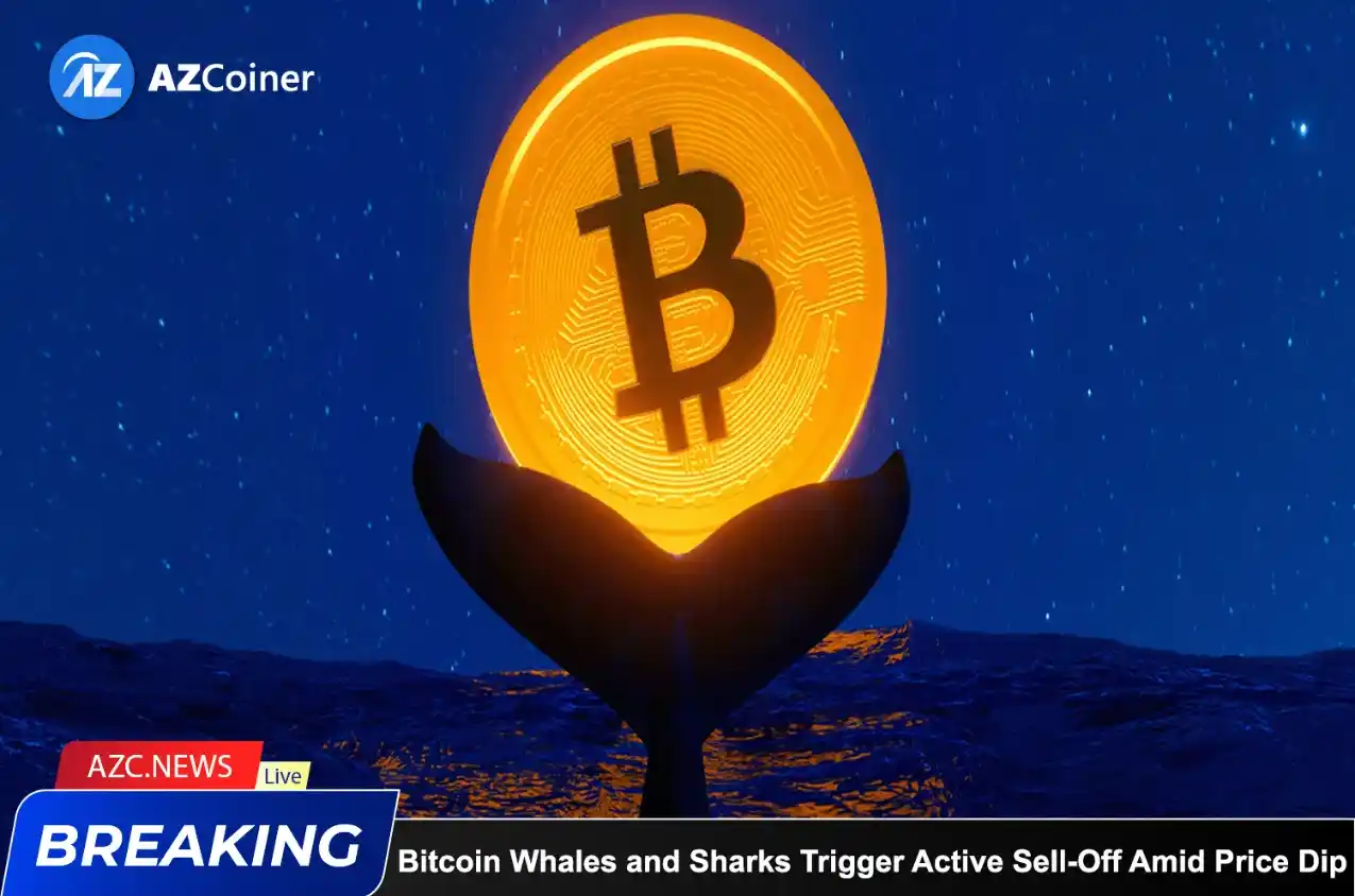 Bitcoin Whales And Sharks Trigger Active Sell Off Amid Price Dip_65d5d0e4156de.webp
