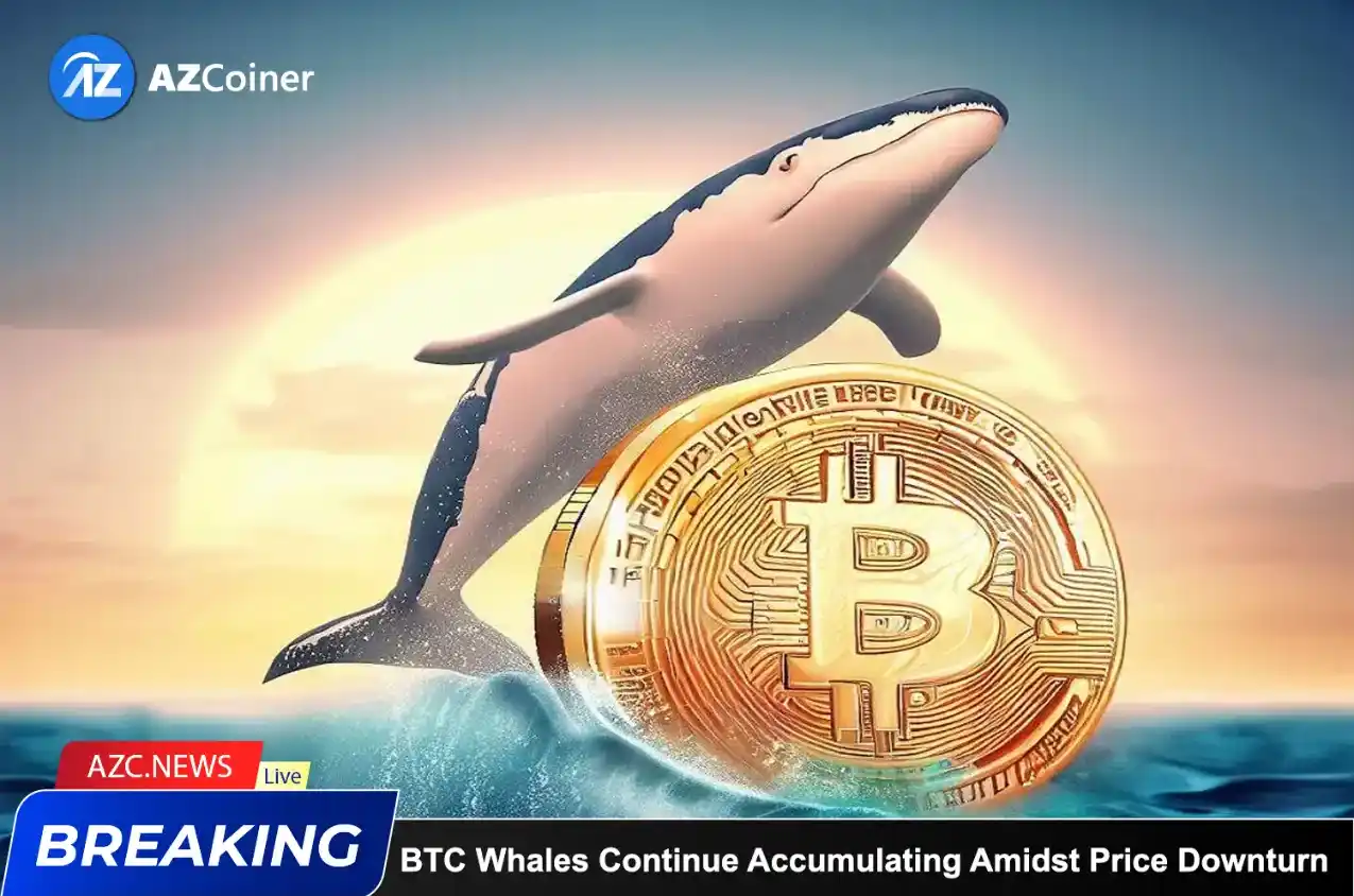 Bitcoin Whales Continue Accumulating Amidst Price Downturn_65d5d0c67e227.webp