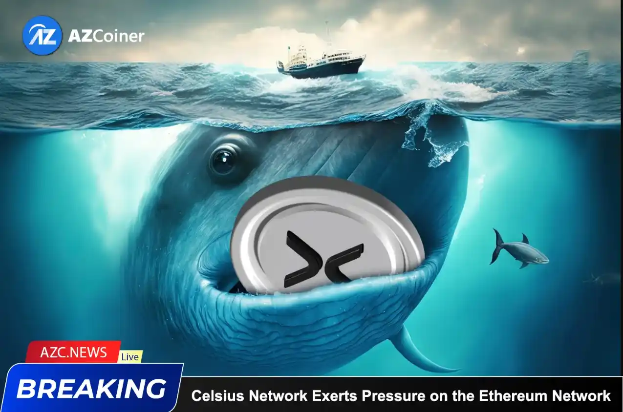 Ripple Escrows 800m Xrp Amid Rising Whale Moves_65d5e1740c371.webp