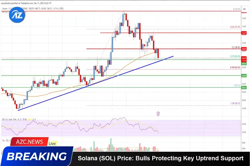 Solana (sol) Price Analysis: Bulls Protecting Key Uptrend Support_65d5cc3586ea5.webp